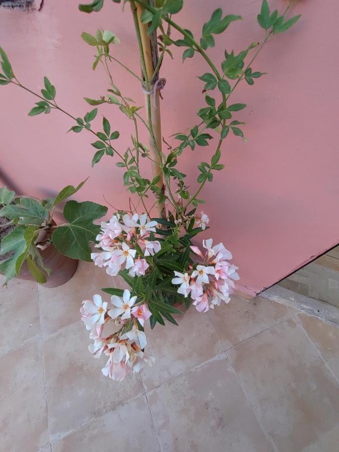 Maison Noe , Residence Al Quaria , Ab40 Marrakesh Bagian luar foto